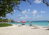 Amazon, West Indies & Azores Destination Image 9