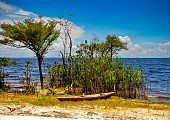Amazon, West Indies & Azores Destination Image 5