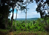 Amazon, West Indies & Azores Destination Image 10