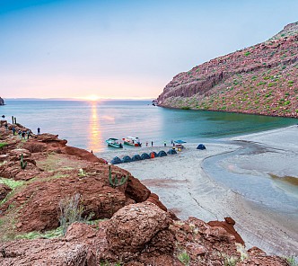 Treasures of the Sea of Cortez