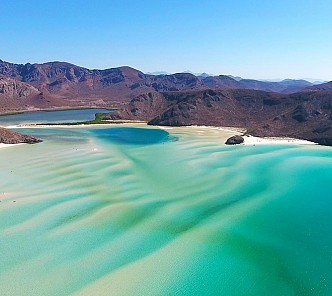 Treasures of the Sea of Cortez