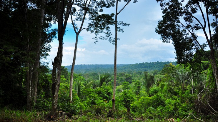Amazon, West Indies & Azores Image 1
